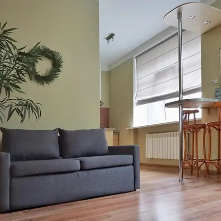 Center Olive Tree Apartment Riga